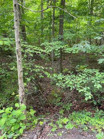 0 Sandlick Road, PRINCETON, WV 24740