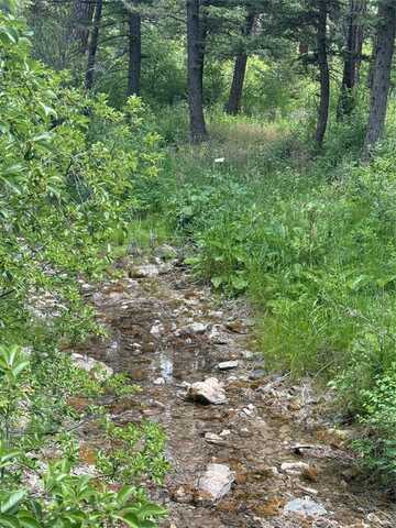 Nhn Little Wolf Creek Road, Wolf Creek, MT 59648