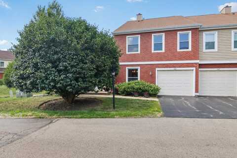 165 S Stonington Drive, Palatine, IL 60074