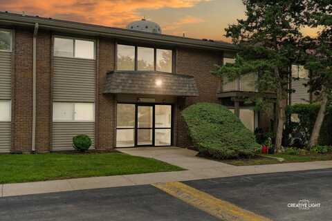 4425 Blackhawk Lane, Lisle, IL 60532