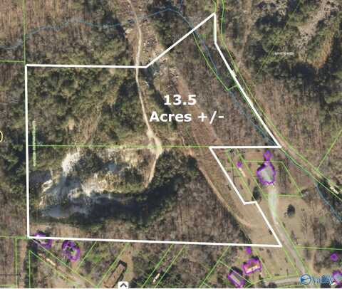 13.5 +/- Acres Druid Avenue, Gadsden, AL 35901