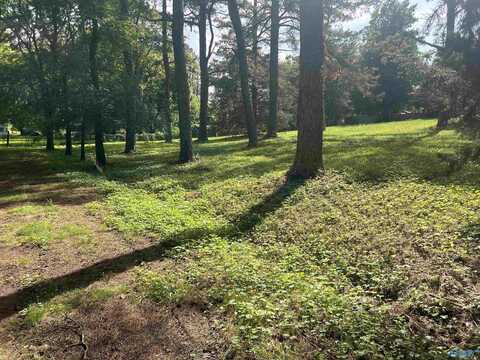 Lots 12 & 13 Denbo Circle, Harvest, AL 35749