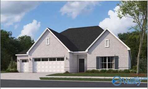 205 Bluebonnet Street, Toney, AL 35773