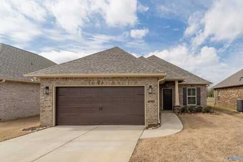 16965 Ted Childs Drive, Athens, AL 35613