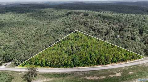 4.8 Acres County Road 33, Hamilton, AL 35570