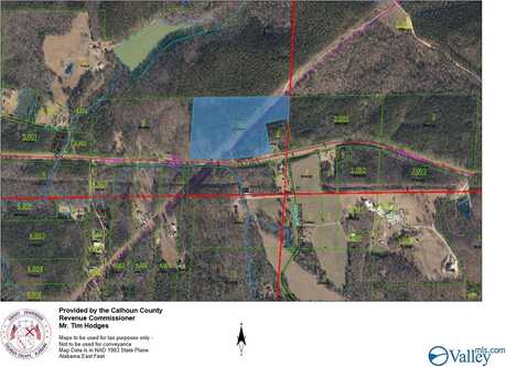 22 Acres US Hwy 278, Piedmont, AL 36272
