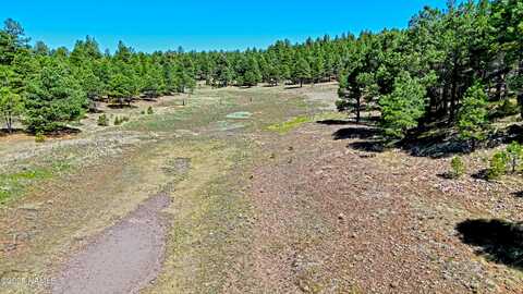 1539 Homestead Road, Flagstaff, AZ 86005
