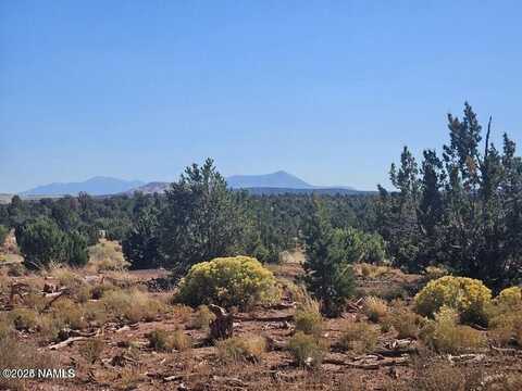 4342 Lasso Loop, Williams, AZ 86046