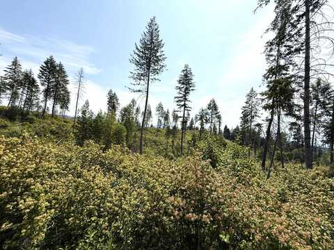 TBD ROCKABYE LN, CURLEW, WA 99118