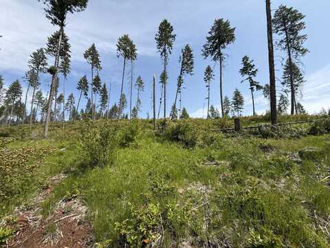 TBD ROCKABYE LN, CURLEW, WA 99118