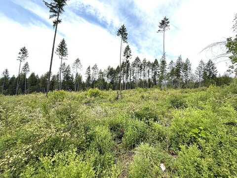 TBD ROCKABYE LN, CURLEW, WA 99118