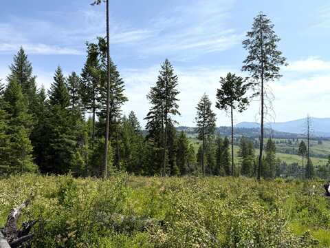 TBD ROCKABYE LN, CURLEW, WA 99118