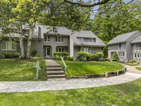 04040 Wildwood, Boyne City, MI 49712