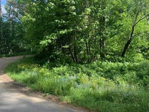 Alpenhof Drive, Bethlehem, NH 03574