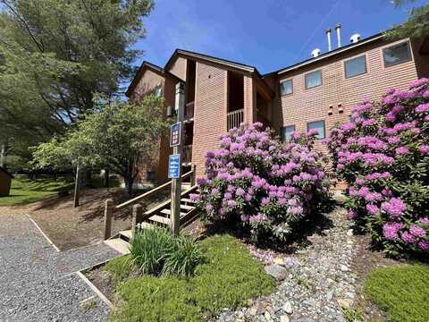 6F Deer Creek Road, Dover, VT 05356