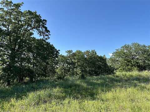 186 PR 3873, Poolville, TX 76487