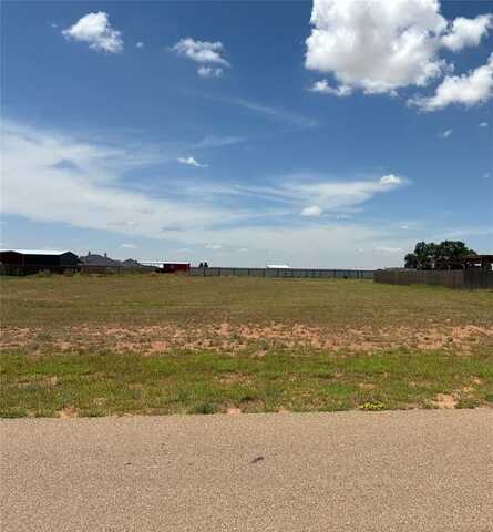 1105 Cotton Creek Road, Tahoka, TX 79373