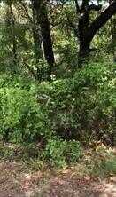 0000 Lakeland Road, Payne Springs, TX 75156
