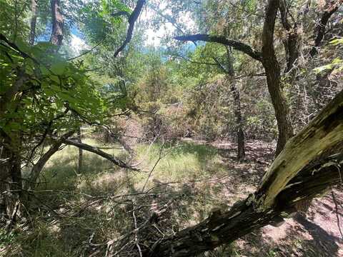 1497 Sage Court, Whitney, TX 76692