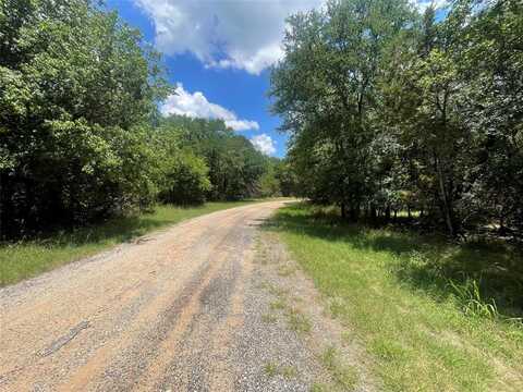 1464 Twin Oak Drive, Whitney, TX 76692