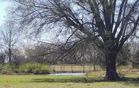 0000 Farm Road 1502, Detroit, TX 75436