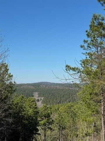 79 Vine Court, Broken Bow, OK 74728