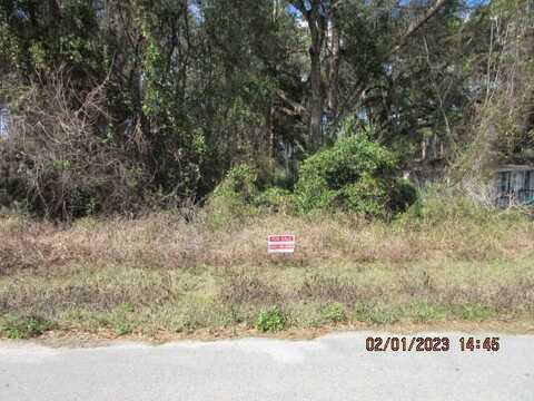 0 SE 183rd Ter., Ocklawaha, FL 32179