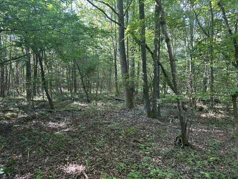 0 Shady Grove Drive, Timberlake, NC 27583, Timberlake, NC 27583
