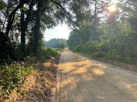 TBD Herbert Road, Norway, SC 29113