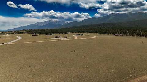 31308 North Meadow Way, Bueno Vista, CO 81211
