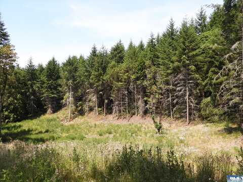 Lot 1 Kirner Road, Sequim, WA 98382