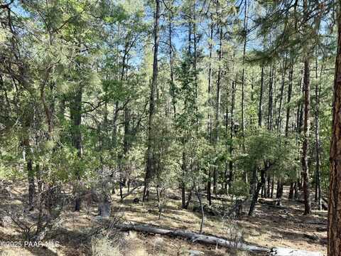 5990b Old Walker Road, Prescott, AZ 86303