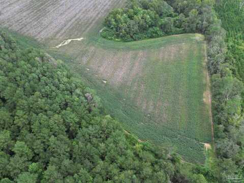 000 N Hwy 87, Jay, FL 32565