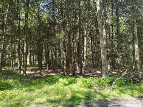 George Dr Drive, Pocono Lake, PA 18347