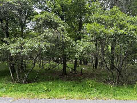 Lot Ep1850 Chippewa Trail, Albrightsville, PA 18210