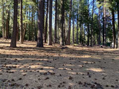 615 E Mountain Ridge Road, Lake Almanor, CA 96137