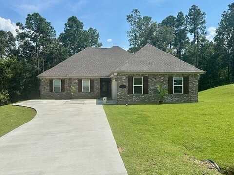 51 Cane Bend Dr, Carriere, MS 39426