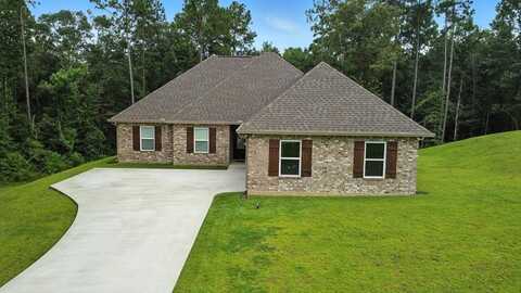 51 Cane Bend Dr, Carriere, MS 39426