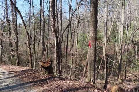 0 Blazing Star Road, Ellijay, GA 30540
