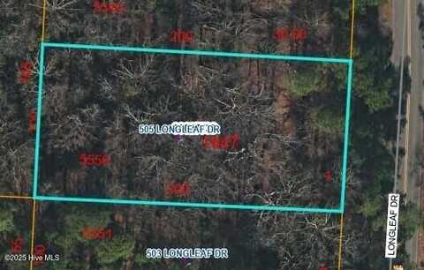 505 Longleaf Drive, West End, NC 27376
