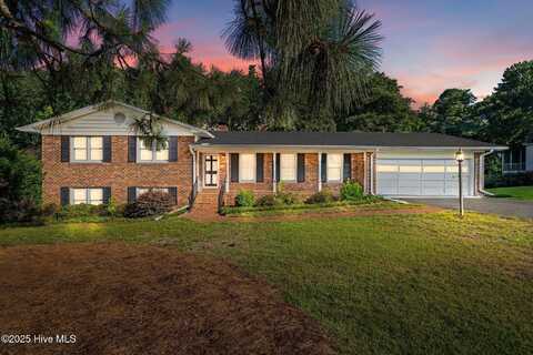306 Mclean Street, Hamlet, NC 28345