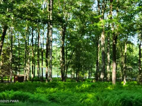 255 Fawn Lake Drive, Hawley, PA 18428