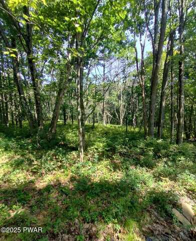 146 Plateau Drive, Lackawaxen, PA 18435