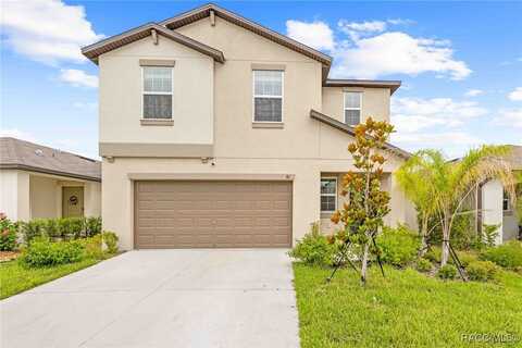 81 Rain Lily Avenue, Spring Hill, FL 34609