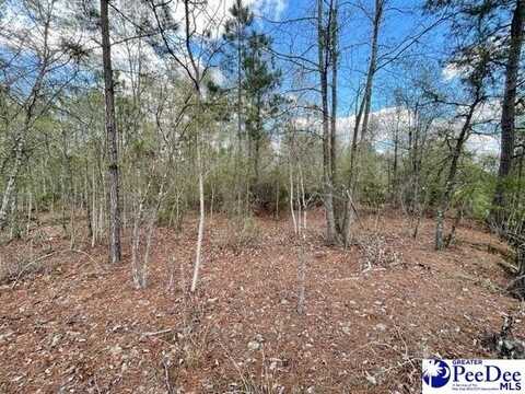 US Hwy 1/52 Truck Route Bypass, Cheraw, SC 29520