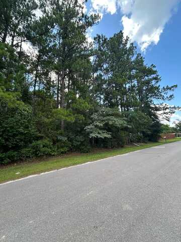 Lot 5 Sesame St, Wewahitchka, FL 32465