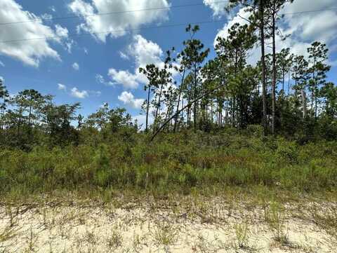 7 Whippoorwill Ave, Wewahitchka, FL 32456