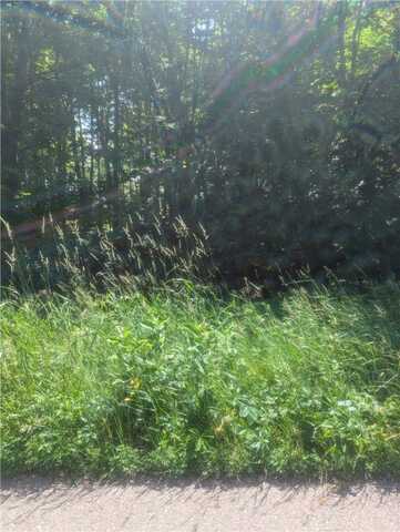 Lot 1 361st Street, Stanley, WI 54768