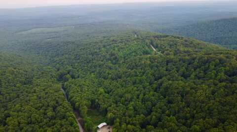 5.21 Acres Browns Holler Road, Spring City, TN 37381