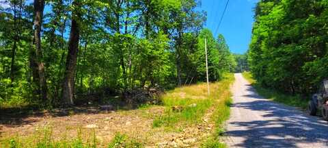 5.21 Acres Browns Holler Road, Spring City, TN 37381